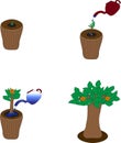 grow of plants into tree with a simple vector