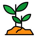 Grow seeds icon color outline vector