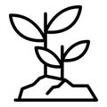 Grow seeds icon, outline style