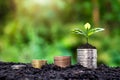 Grow small plants with coins stacked on the ground and money saving ideas Royalty Free Stock Photo