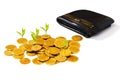 Grow small plants with gold coins stacked Royalty Free Stock Photo