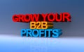 grow your b2b profits on blue