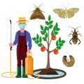 Grower in mask with sprayer and garden pests Royalty Free Stock Photo