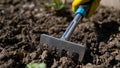 The grower spuds strawberry plants with a rake. Work in the garden