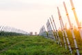 Growing apples in horticultural agriculture. Apple trees grow on special supports and an irrigation system supply Royalty Free Stock Photo