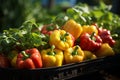 Growing bell pepper crops in a large greenhouse. Vegetable business Royalty Free Stock Photo