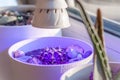 Growing a cactus at home on a windowsill under an ultraviolet LED lamp in a white pebble pot