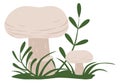Growing champignon in green nature. Cartoon mushroom icon Royalty Free Stock Photo