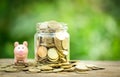 A growing coins or save money concept. Investment success. Economic growth. Royalty Free Stock Photo