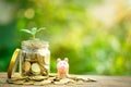 A growing coins or save money concept. Investment success. Economic growth. Plant growing in saving coins. Royalty Free Stock Photo