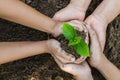 Growing concept eco Group hand children planting together on so