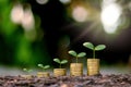 Growing crops on coins stacked on a green and natural blurred background.