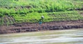 Growing crops on river banks. Mekong River Cruise Royalty Free Stock Photo