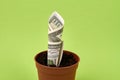 Growing dollar banknote from a flower pot.