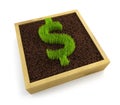 Growing dollar symbol Royalty Free Stock Photo