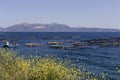 Growing fish in the open sea, view of the ponds with fish Royalty Free Stock Photo