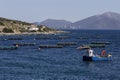 Growing fish in the open sea, view of the ponds with fish Royalty Free Stock Photo