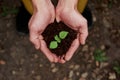 Growing flower. Mens hands holding the soil with little plant in the middle Royalty Free Stock Photo