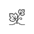 Growing grapes leaf line icon