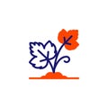 Growing grapes line icon