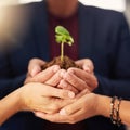 Growing a green business. a group of unrecognizable businesspeople holding a seedling in their cupped hands.