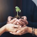 Growing a green business. a group of unrecognizable businesspeople holding a seedling in their cupped hands.