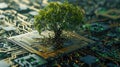 The growing green tree on the cpu on the land of mainboard and circuits. AIGX03. Royalty Free Stock Photo