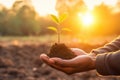 Growing a greener future: hands holding a fresh plant sprout, text space