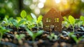 Growing home. The concept of building a solid foundation for the future, starting from the ground up Royalty Free Stock Photo