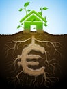 Growing house sign as plant with leaves and euro as root Royalty Free Stock Photo