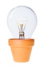 Growing Ideas Light Bulb in Flower Pot with Clippi