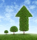 Growing Investment Royalty Free Stock Photo