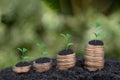 Growing Money business finance and saving money investment , Money coin stack growing graph, Digital plant growing up on coins. Royalty Free Stock Photo