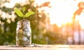 Growing Money, business finance and savings money invest , Balance savings and investment, Plant Growing In Savings Coins, Investm Royalty Free Stock Photo