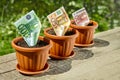 Growing money concept with rolled euro bills Royalty Free Stock Photo