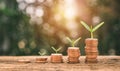 Growing Money - Plant On Coins - Finance And Investment Concept Royalty Free Stock Photo
