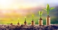 Growing Money - Plant On Coins Royalty Free Stock Photo