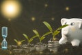 Growing Money Plant On Energy saving light bulb with piggy and tree growing on stacks of coins on Bokeh background, Coins business Royalty Free Stock Photo