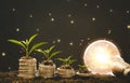 Growing Money Plant On Energy saving light bulb with piggy and tree growing on stacks Royalty Free Stock Photo