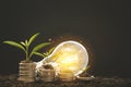 Growing Money Plant On Energy saving light bulb with  tree growing on stacks of coins on Bokeh background, Coins business Finance Royalty Free Stock Photo