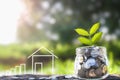 Growing Money and plant, Saving money concept, concept of financial savings to buy a house Royalty Free Stock Photo