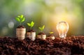 Growing Money - Plants on Coins - Money and Investment Concepts. growing money in soil, success, Creative light bulb idea, power Royalty Free Stock Photo