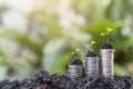 Growing Money - Plants on Coins pile silver coins with green nature background