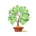 Growing money tree. cash banknotes and coins Royalty Free Stock Photo