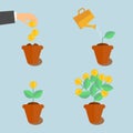 Growing money tree Royalty Free Stock Photo