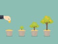 Growing money tree. Royalty Free Stock Photo