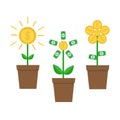 Growing money tree shining coin with dollar sign set. Plant in the pot. Financial growth concept. Successful business icon. Flat d