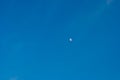 The growing moon or crescent moon is on a canvas of blue clear sky. Earth satellite, space. Royalty Free Stock Photo