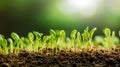 Growing Naturally: Green Plant Sprouts in a Blurred Earthy Environment, Generative AI