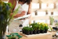 These are growing nicely. an unrecognizable young female botanist making notes while working in her florist.